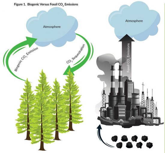 A natural win: wood pellets' role in transitioning from fossil fuels ...