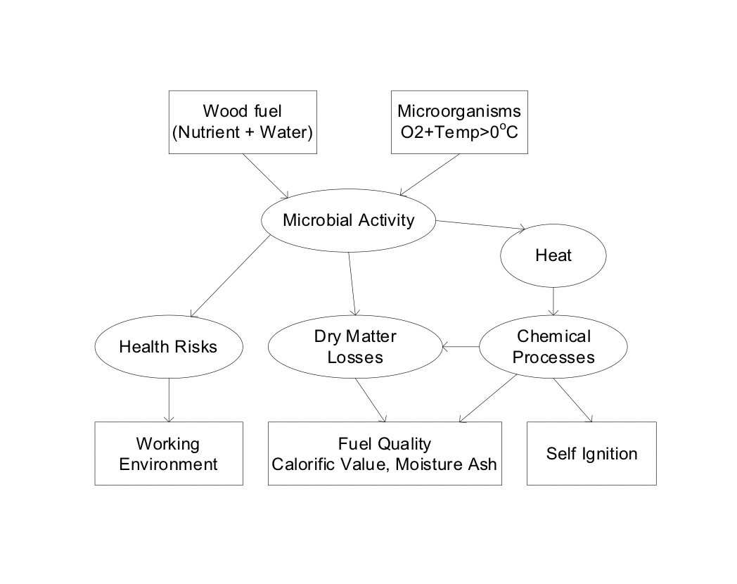 Global Wood Pellet Markets: 2023 in review and why industrial wood